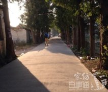 豸